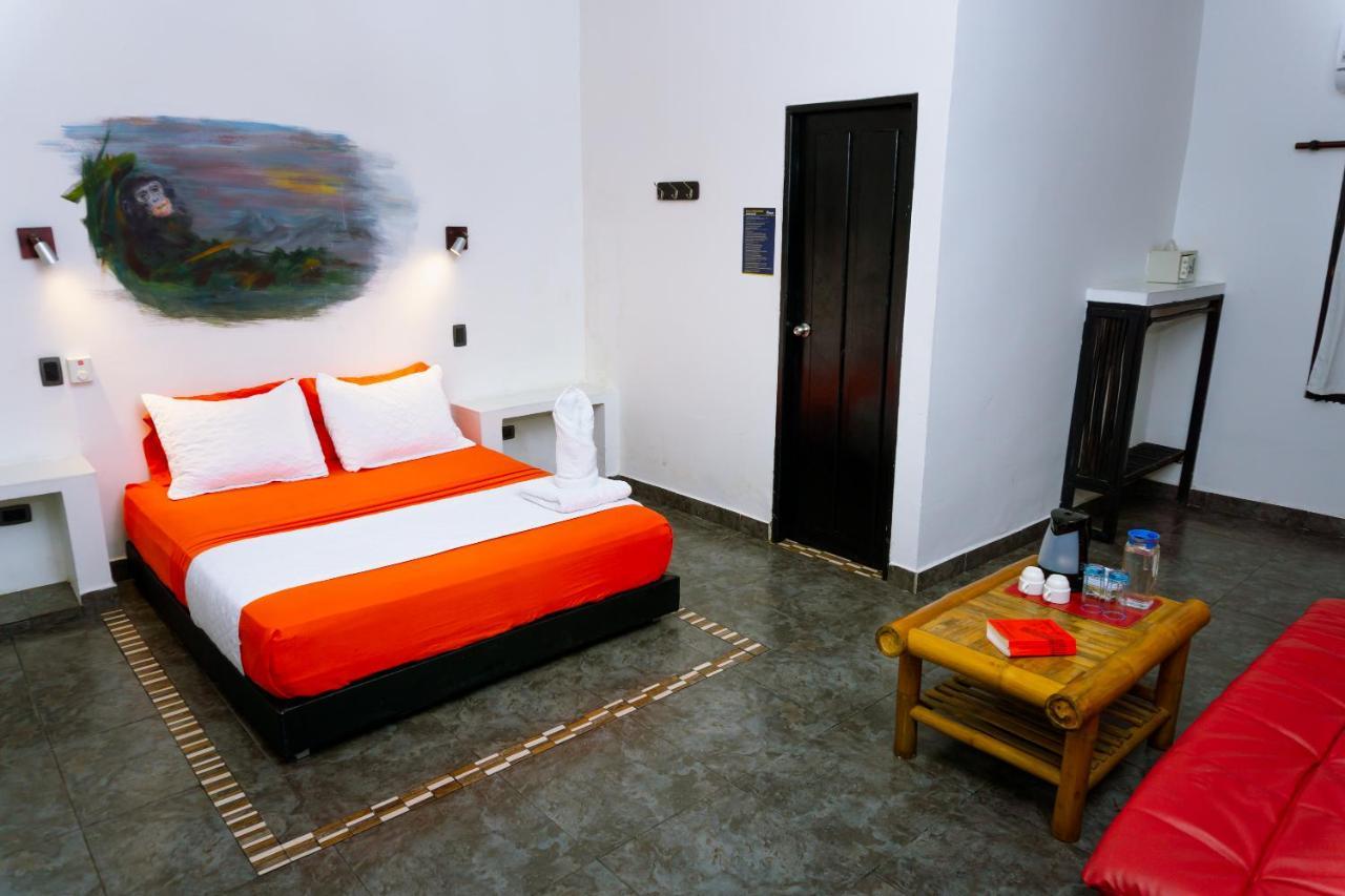 Dreamer Palomino Hostel Ngoại thất bức ảnh