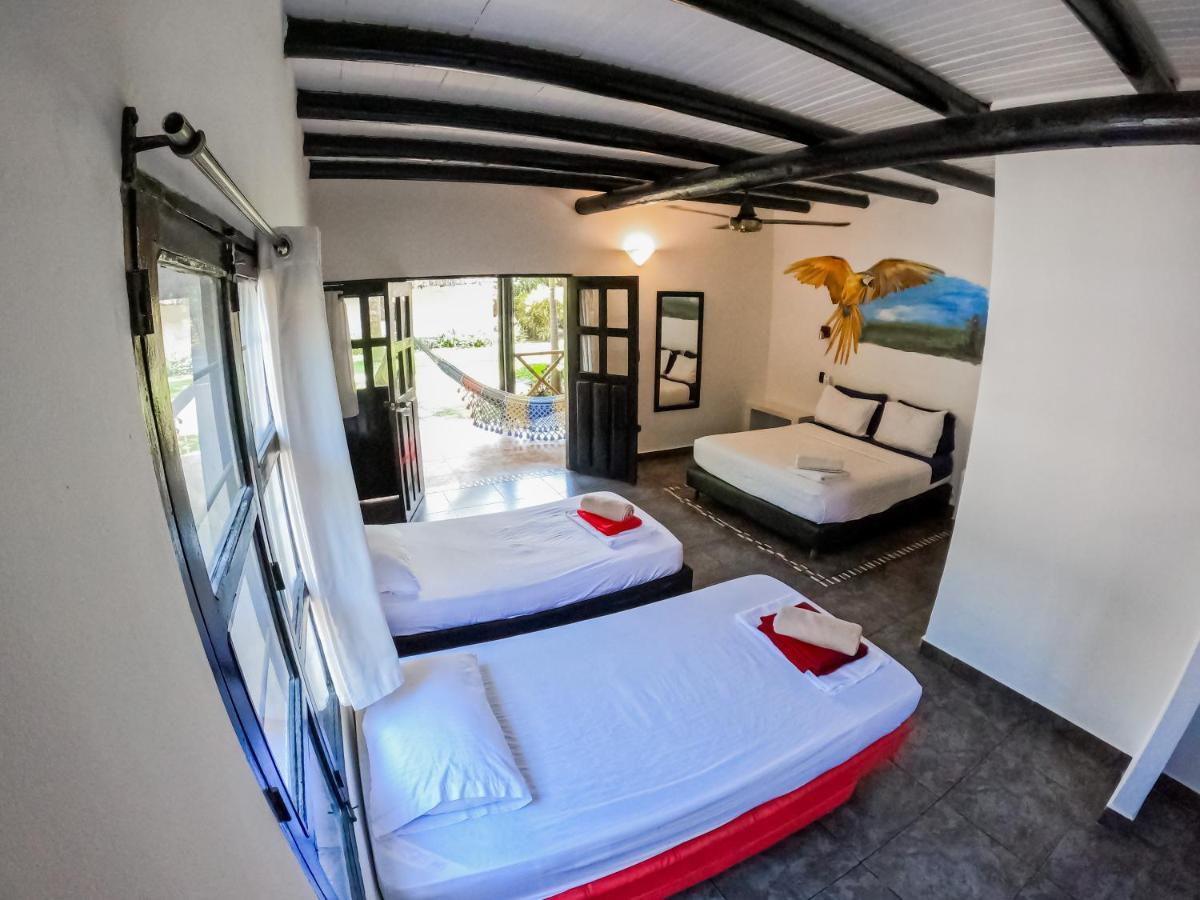 Dreamer Palomino Hostel Ngoại thất bức ảnh