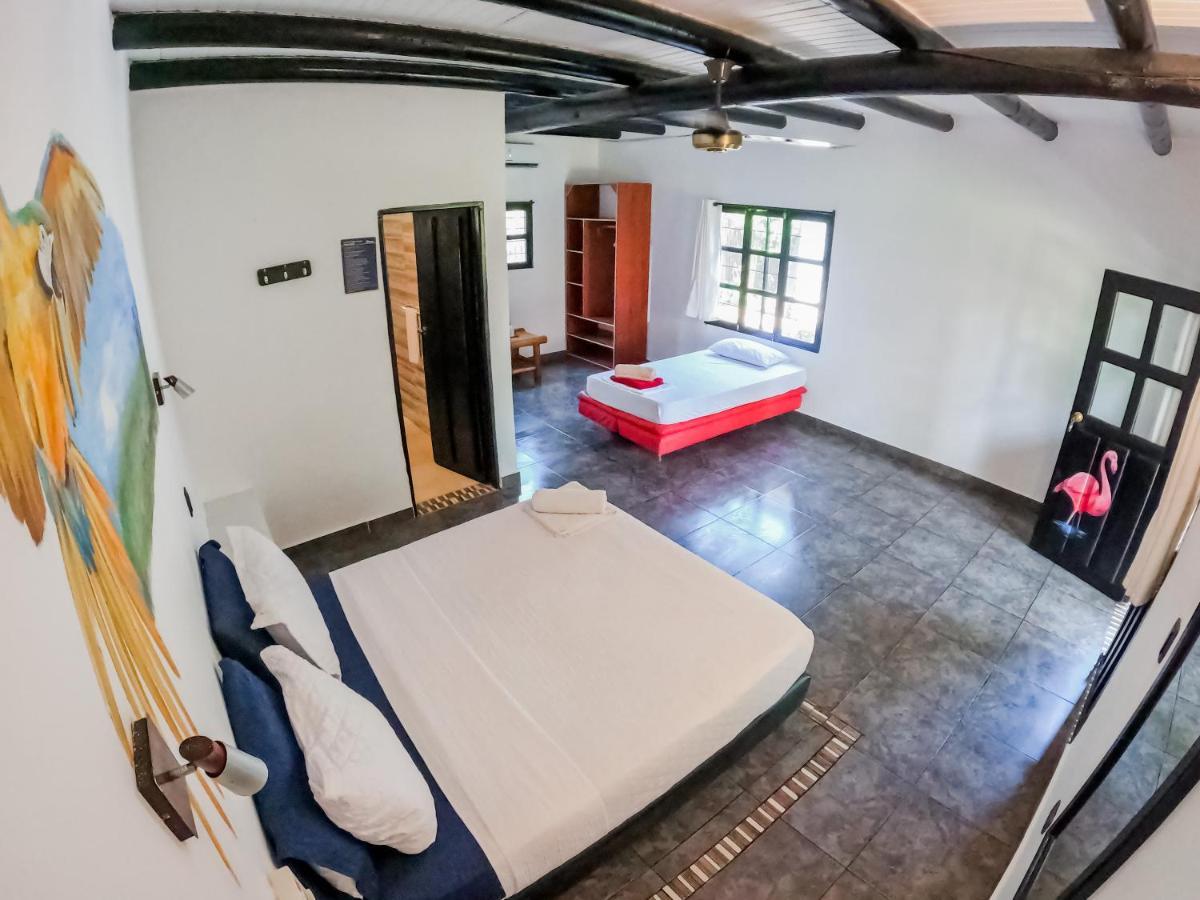 Dreamer Palomino Hostel Ngoại thất bức ảnh