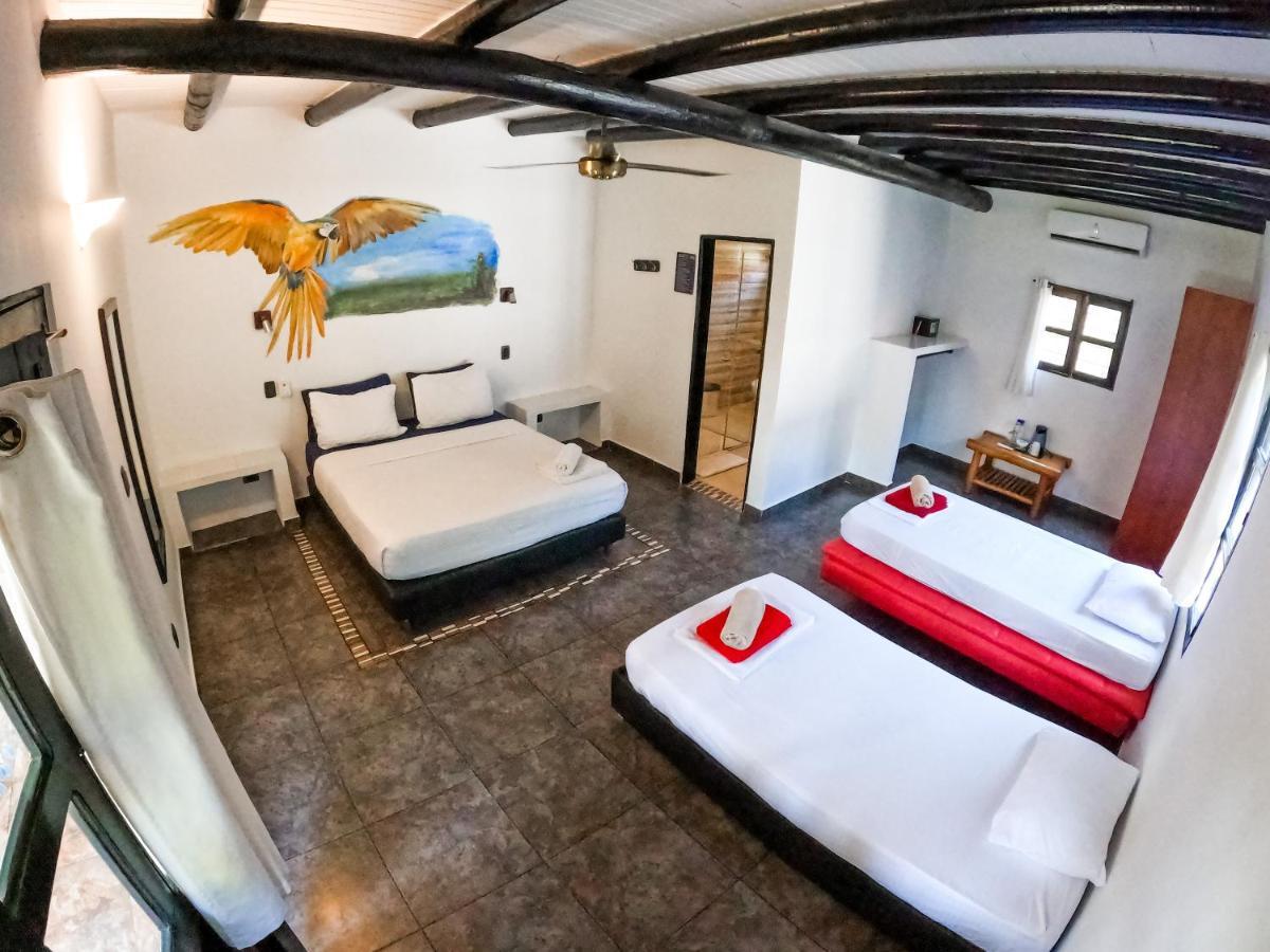 Dreamer Palomino Hostel Ngoại thất bức ảnh