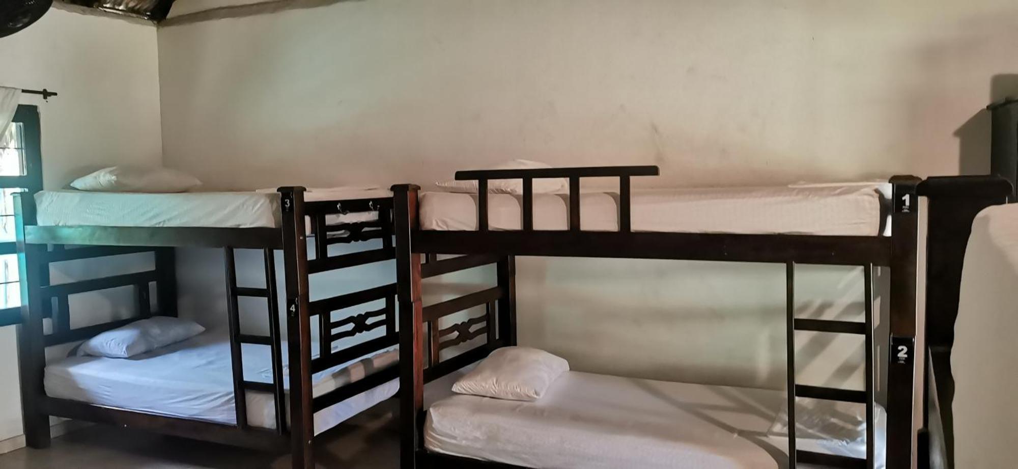 Dreamer Palomino Hostel Ngoại thất bức ảnh