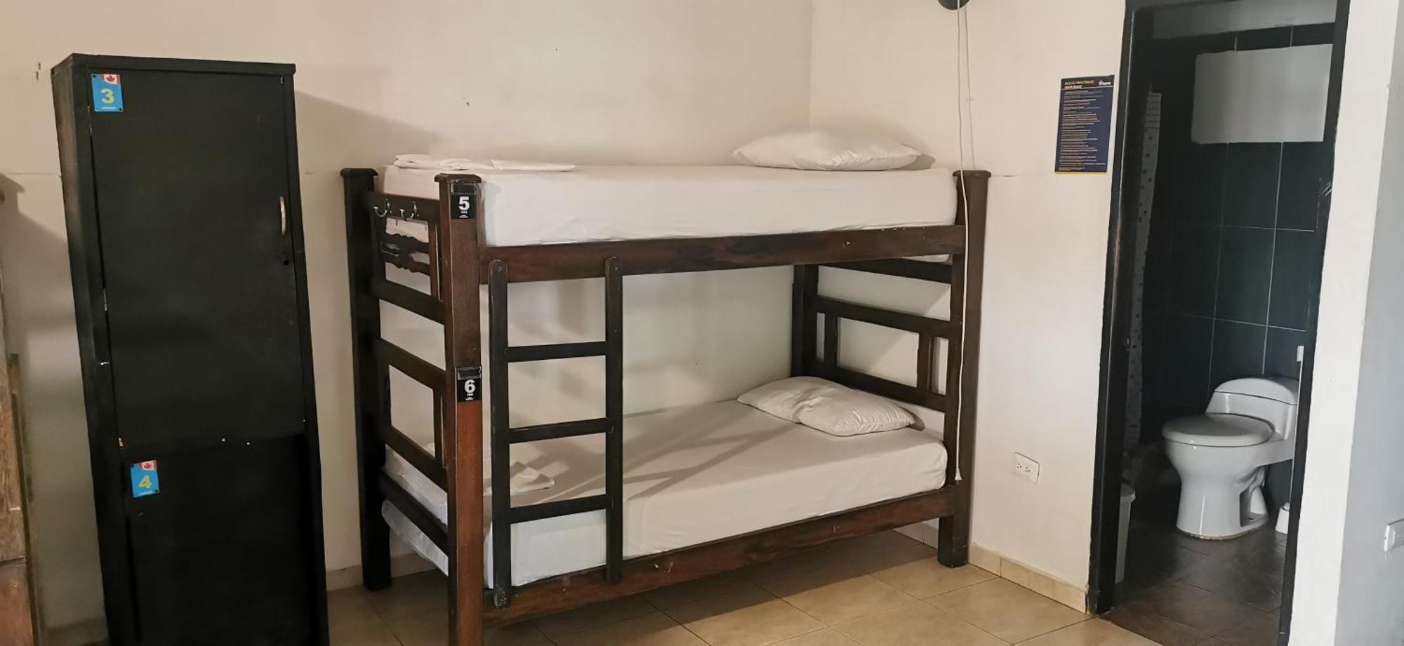 Dreamer Palomino Hostel Ngoại thất bức ảnh